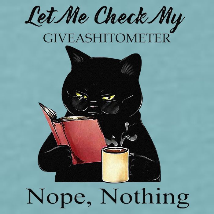 Let Me Check My Giveashitometer Nope Nothing Black Cat Sueded Cloud Jersey T-Shirt