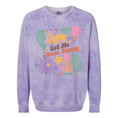 Let Me Down Slowly Floral Art Benjamin Colorblast Crewneck Sweatshirt