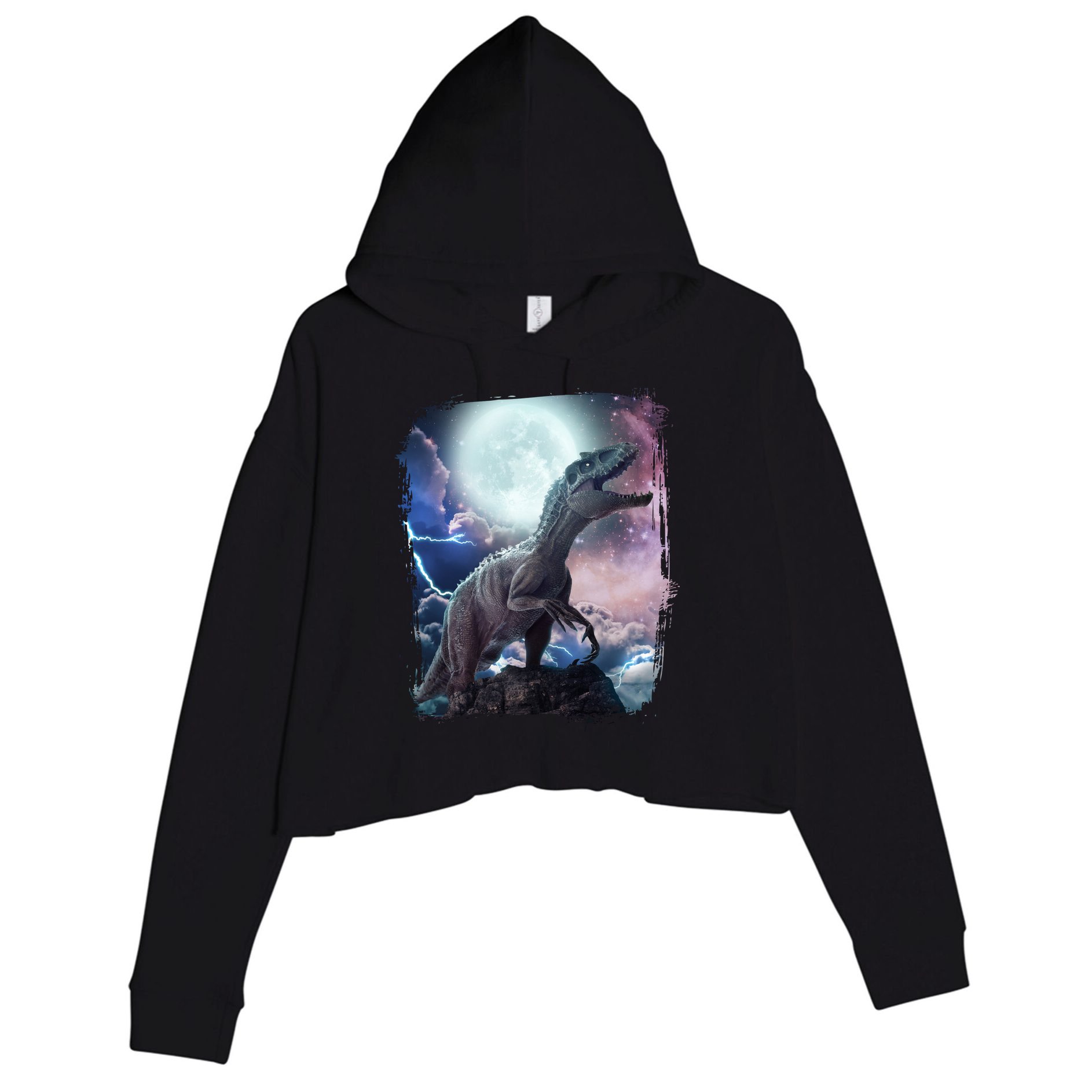 Lightning Moon Galaxy Trex Dinosaur Crop Fleece Hoodie