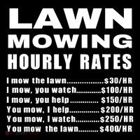 Lawn Mowing Hourly I Mow The Lawn Tall T-Shirt