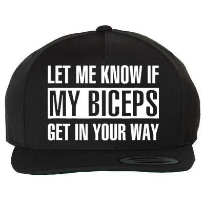 Let Me Know If My Biceps Get In Your Way Funny Wool Snapback Cap