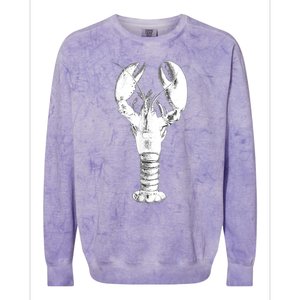 Large Maine Lobster in White Tee Colorblast Crewneck Sweatshirt