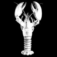 Large Maine Lobster in White Tee Flexfit Unipanel Trucker Cap