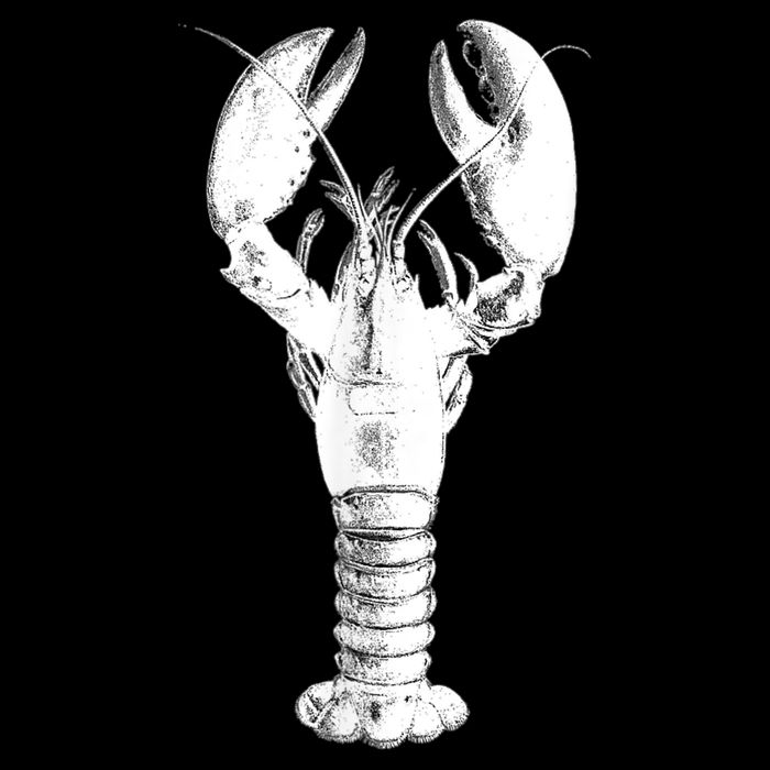 Large Maine Lobster in White Tee Flexfit Unipanel Trucker Cap