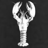 Large Maine Lobster in White Tee Tumbler