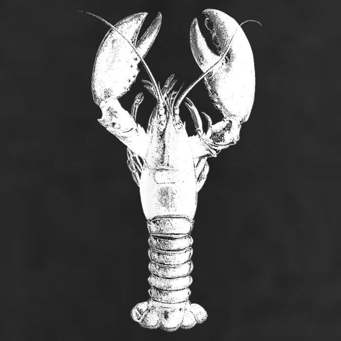 Large Maine Lobster in White Tee Tumbler