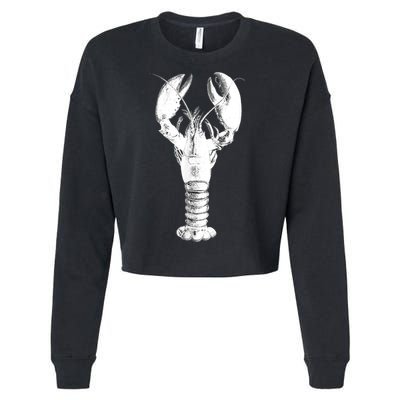 Large Maine Lobster in White Tee Cropped Pullover Crew