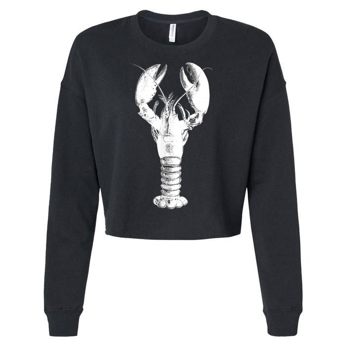 Large Maine Lobster in White Tee Cropped Pullover Crew