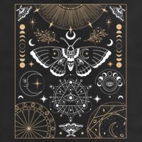 Luna Moth Moon Phases Witchy Dark Academia Aesthetic Gift 7 Panel Mesh Trucker Snapback Hat