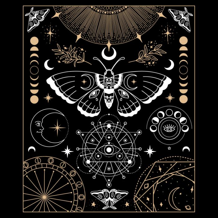 Luna Moth Moon Phases Witchy Dark Academia Aesthetic Gift Impact Tech Backpack