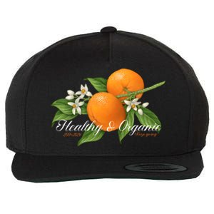 Limited Midnight Organic 5 Year Healthy & Organic Wool Snapback Cap