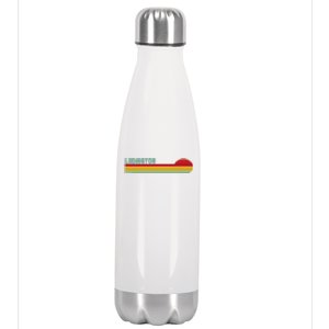 Ludington Michigan Retro Stainless Steel Insulated Water Bottle