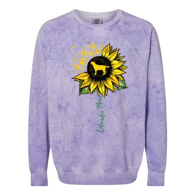 Labrador Mom Sunflower Labrador Retriever Gifts Dog Mom Mama Colorblast Crewneck Sweatshirt