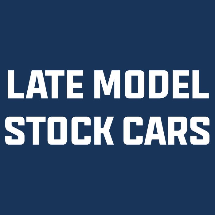 Late Model Stock Cars Tank Top