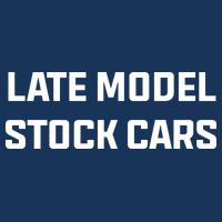 Late Model Stock Cars Toddler T-Shirt