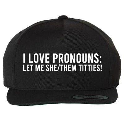 Let Me She Them Titties Funny I Love Pronouns Wool Snapback Cap