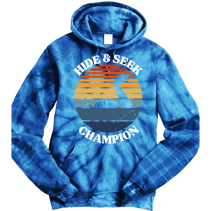 Loch Ness Monster Vintage Sunset Meaningful Gift Hide And Seek Champion Gift Tie Dye Hoodie