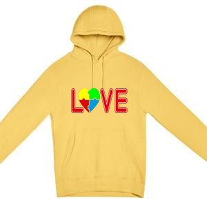 Love Needs No Words Autism Awareness Cute Gift Premium Pullover Hoodie