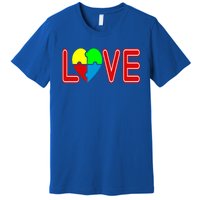 Love Needs No Words Autism Awareness Cute Gift Premium T-Shirt