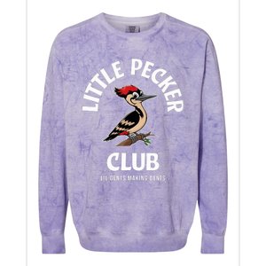 Little Nature Pecker Club Funny Woodpecker Colorblast Crewneck Sweatshirt