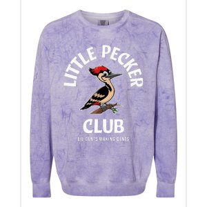 Little Nature Pecker Club Funny Woodpecker Colorblast Crewneck Sweatshirt