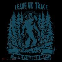 Leave No Trace America National Parks Funny Big Foot Women's V-Neck T-Shirt