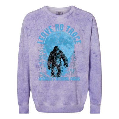 Leave No Trace America National Parks Colorblast Crewneck Sweatshirt