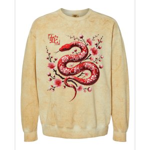 Lunar New Year Happy Chinese New Year Of The Snake 2025 Colorblast Crewneck Sweatshirt