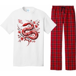 Lunar New Year Happy Chinese New Year Of The Snake 2025 Pajama Set