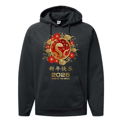 Lunar New Year Year Of The Snake 2025 Chinese New Year 2025 Gift Performance Fleece Hoodie