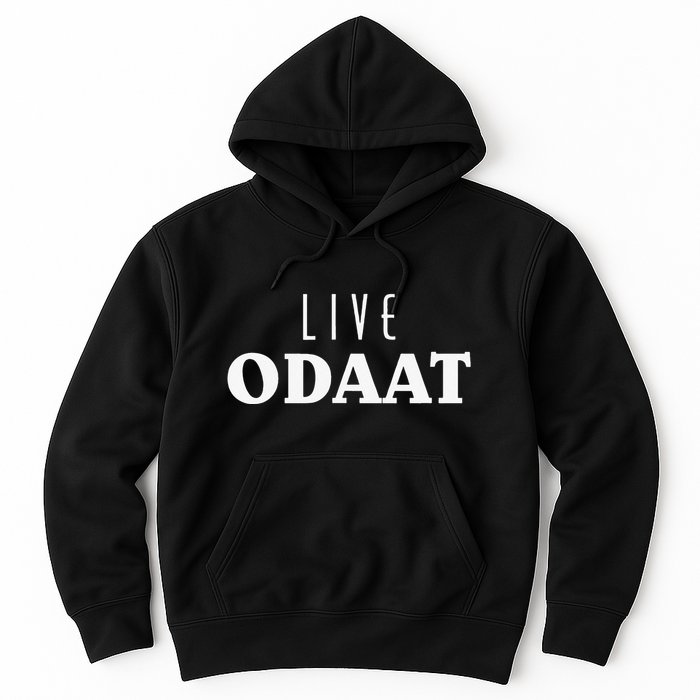 LIVE ODAAT Alcoholics AA Narcotics NA Anonymous Recovery Hoodie