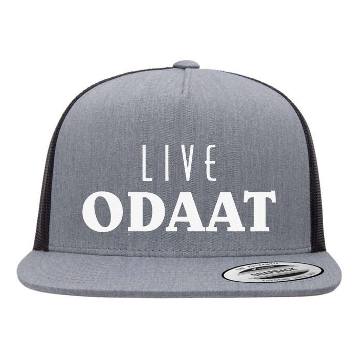 LIVE ODAAT Alcoholics AA Narcotics NA Anonymous Recovery Flat Bill Trucker Hat