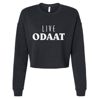 LIVE ODAAT Alcoholics AA Narcotics NA Anonymous Recovery Cropped Pullover Crew