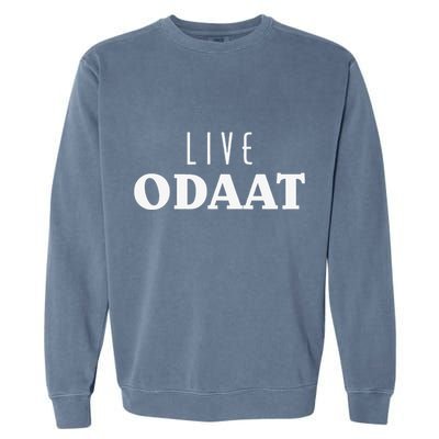LIVE ODAAT Alcoholics AA Narcotics NA Anonymous Recovery Garment-Dyed Sweatshirt