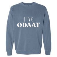 LIVE ODAAT Alcoholics AA Narcotics NA Anonymous Recovery Garment-Dyed Sweatshirt