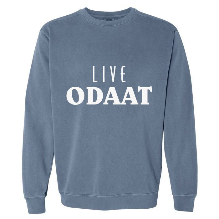 LIVE ODAAT Alcoholics AA Narcotics NA Anonymous Recovery Garment-Dyed Sweatshirt