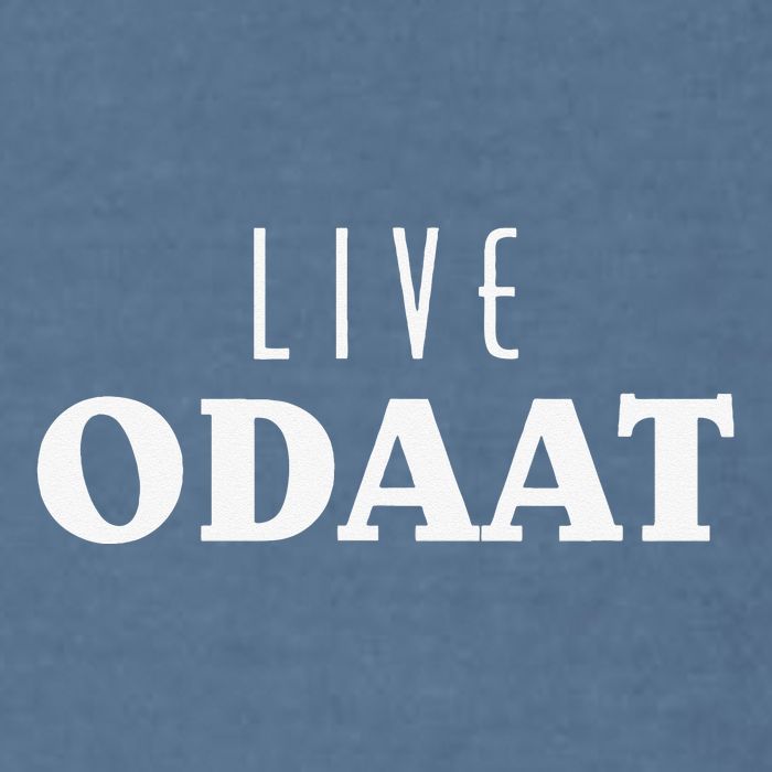 LIVE ODAAT Alcoholics AA Narcotics NA Anonymous Recovery Garment-Dyed Sweatshirt