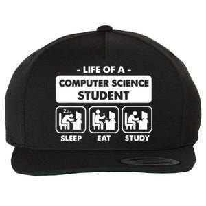 Life Of A Computer Science Student Sleep Eat Study Wool Snapback Cap