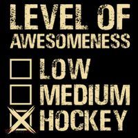 Level Of Awesomeness Low Medium Hockey Stripe Pom Pom Beanie