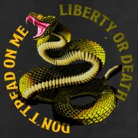 Liberty Or Death Dont Tread On Me Snake Cool Comfort Performance Bucket Hat