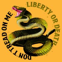 Liberty Or Death Dont Tread On Me Snake Kids T-Shirt