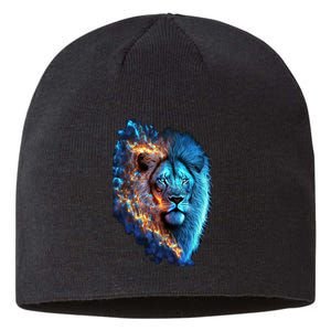 Lion On Fire Cool Graphic Sustainable Beanie