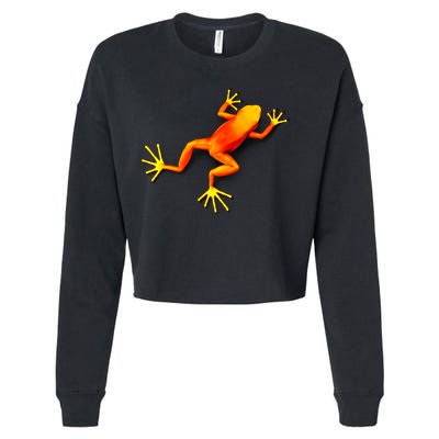 Little Orange Frog Cropped Pullover Crew