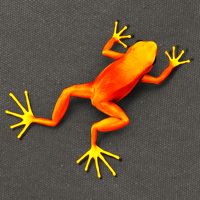Little Orange Frog Cotton Canvas Backpack