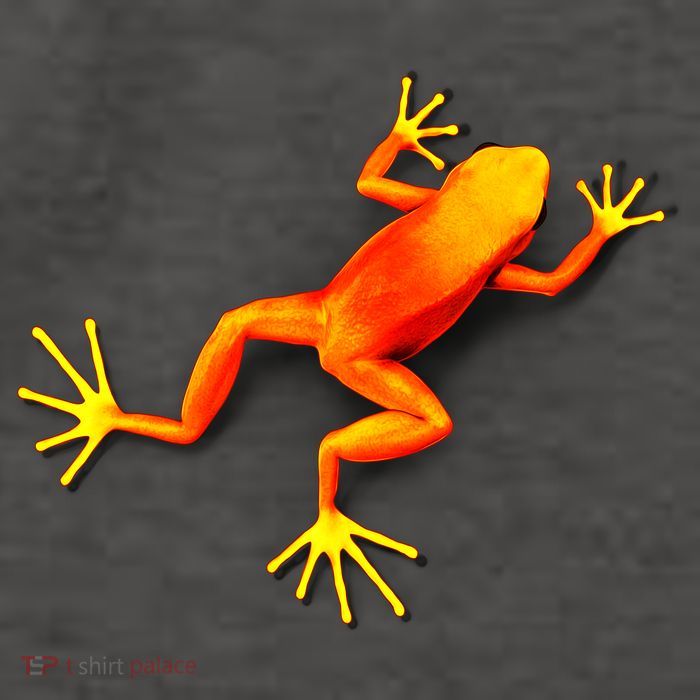 Little Orange Frog Vector Backpack