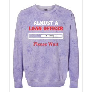 Loan Officer Gift Profession Banking Banker Meaningful Gift Colorblast Crewneck Sweatshirt