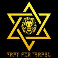 Lion of Judah, Pray For Israel, Jewish Star of David Premium T-Shirt