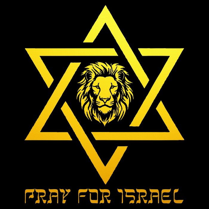 Lion of Judah, Pray For Israel, Jewish Star of David Premium T-Shirt