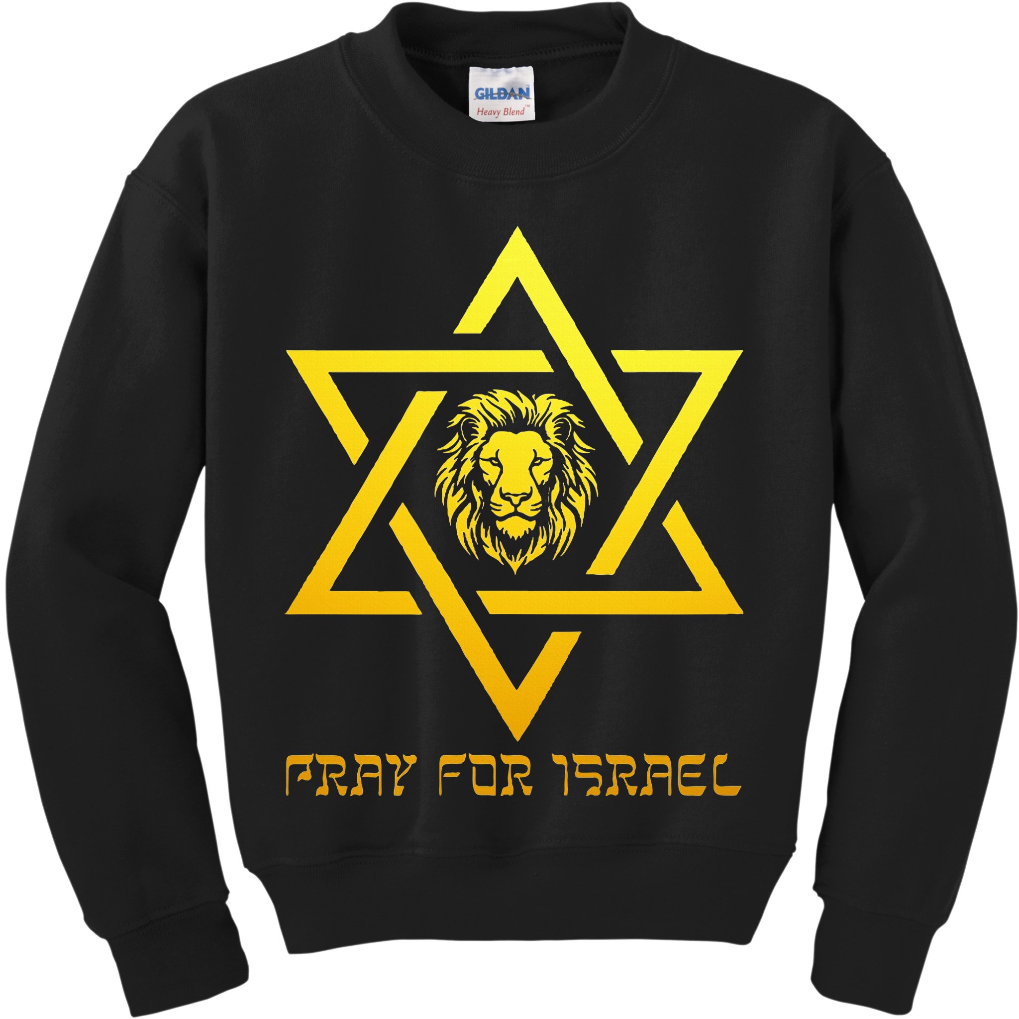 Lion of Judah, Pray For Israel, Jewish Star of David Kids Sweatshirt