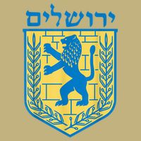 Lion Of Judah Gift Israel Jewish Jerusalem Sign Jew Hebrew T-Shirt